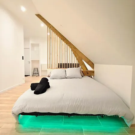 Apartmán Jacuzzi Prive - Netflix - Wi-fi - Parking Gratuit *