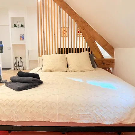 Jacuzzi Prive - Netflix - Wi-fi - Parking Gratuit Chatel-Guyon